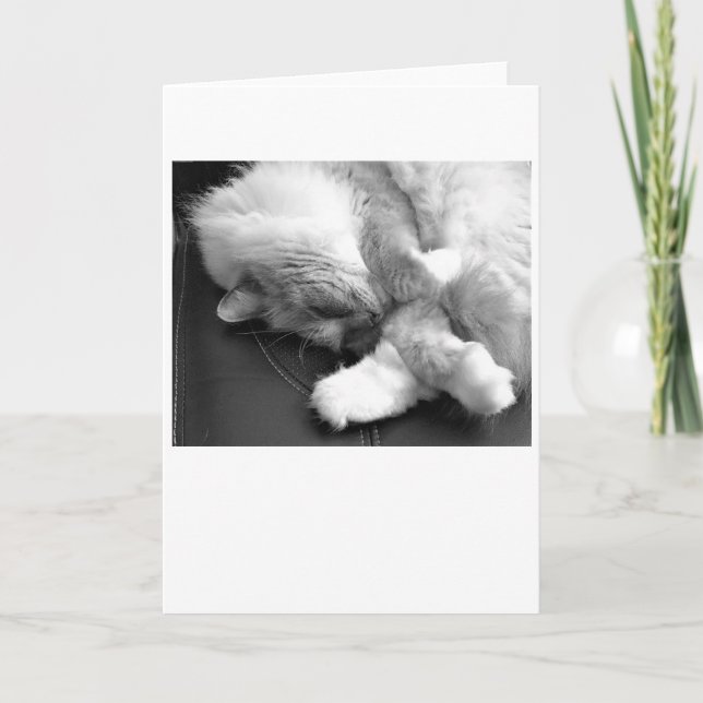 Jours lents, carte (Devant)