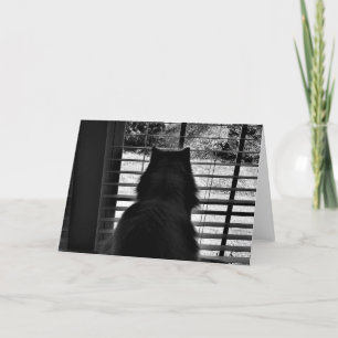 Jours lents, carte