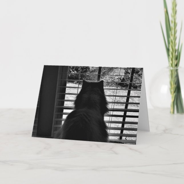 Jours lents, carte (Devant)