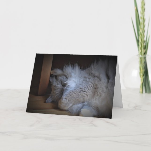 Jours lents, carte (Devant)