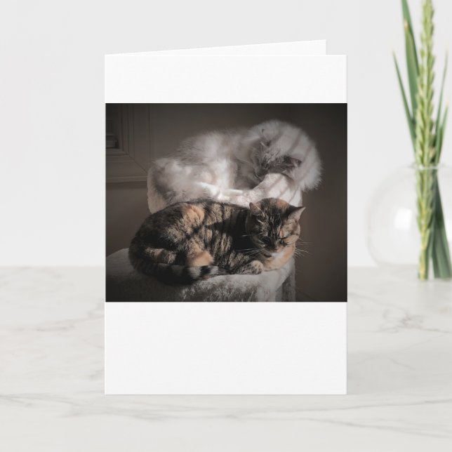 Jours lents, carte (Devant)