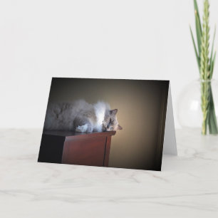 Jours lents, carte