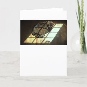 Jours lents, carte