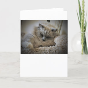 Jours lents, carte