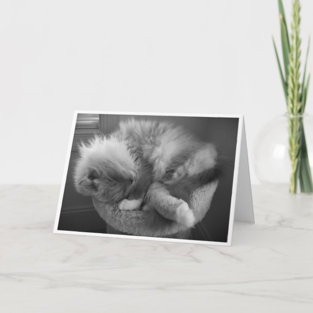 Jours lents, carte (Devant)