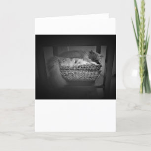Jours lents, carte