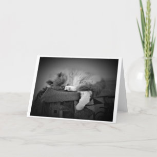Jours lents, carte