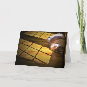 Jours lents, carte