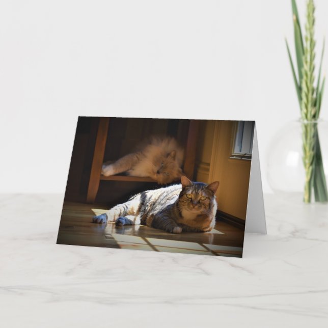 Jours lents, carte (Devant)