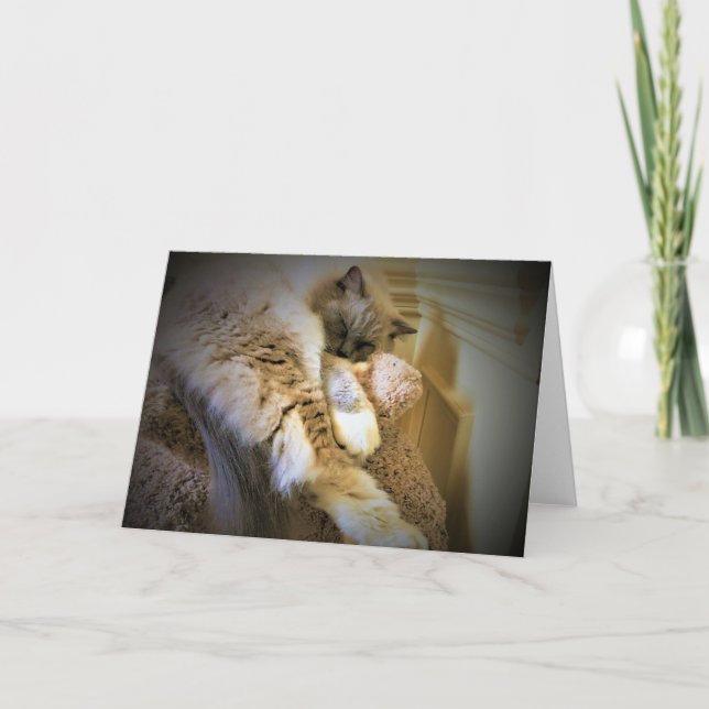 Jours lents, carte (Devant)