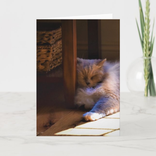 Jours lents, carte (Devant)