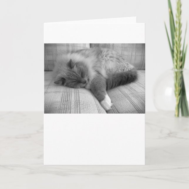 Jours lents, carte (Devant)