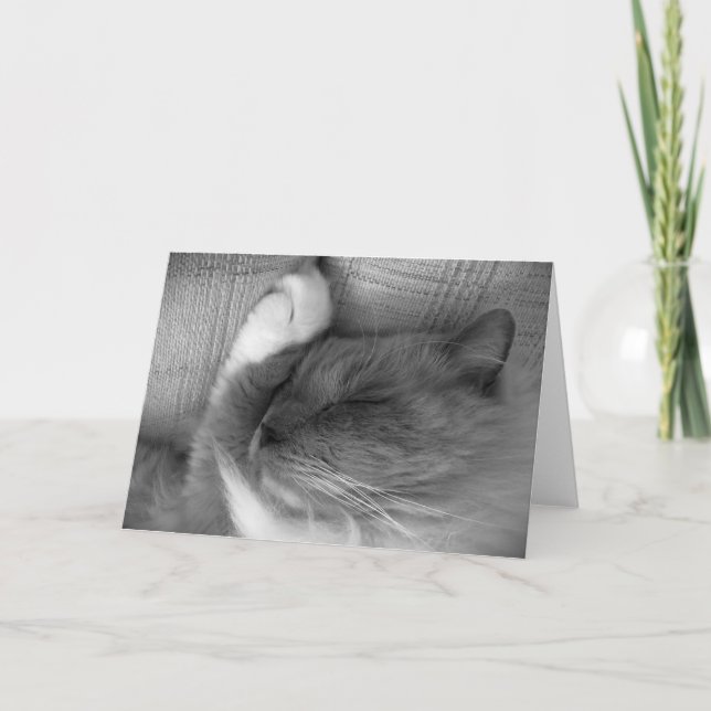 Jours lents, carte (Devant)