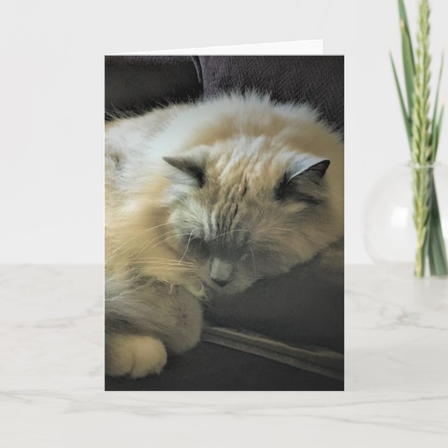 Jours lents, carte (Devant)