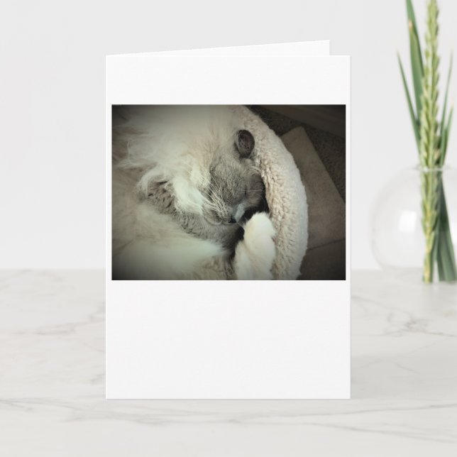 Jours lents, carte (Devant)