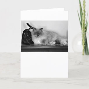 Jours lents, carte