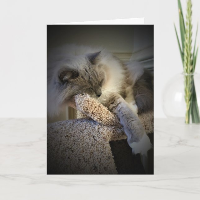 Jours lents, carte (Devant)