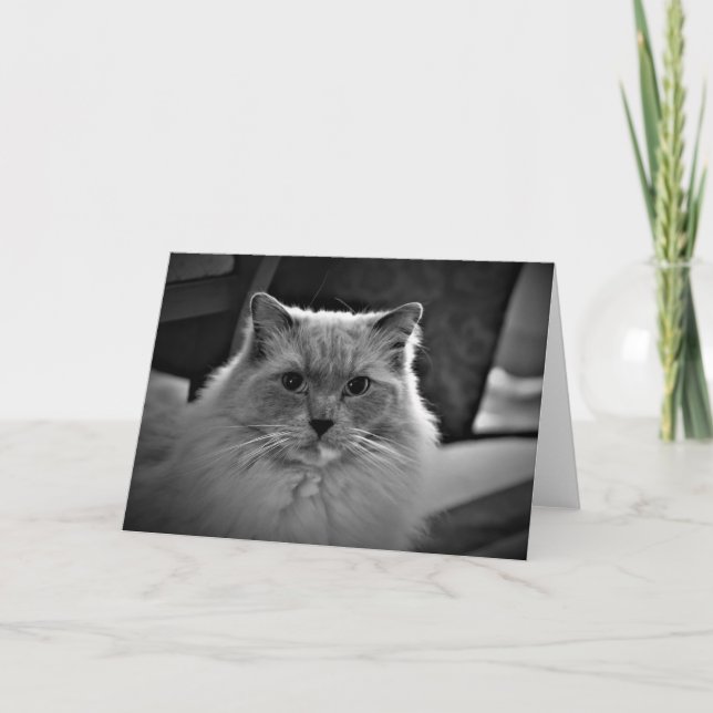 Jours lents, carte (Devant)