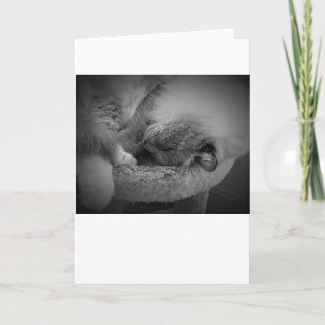 Jours lents, carte (Devant)