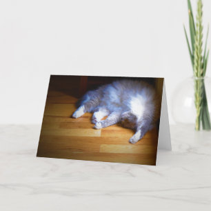 Jours lents, carte
