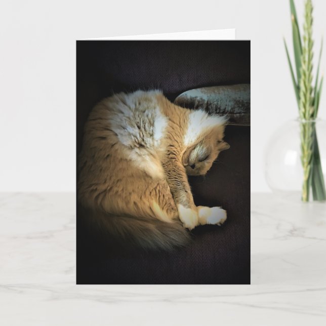 Jours lents, carte (Devant)