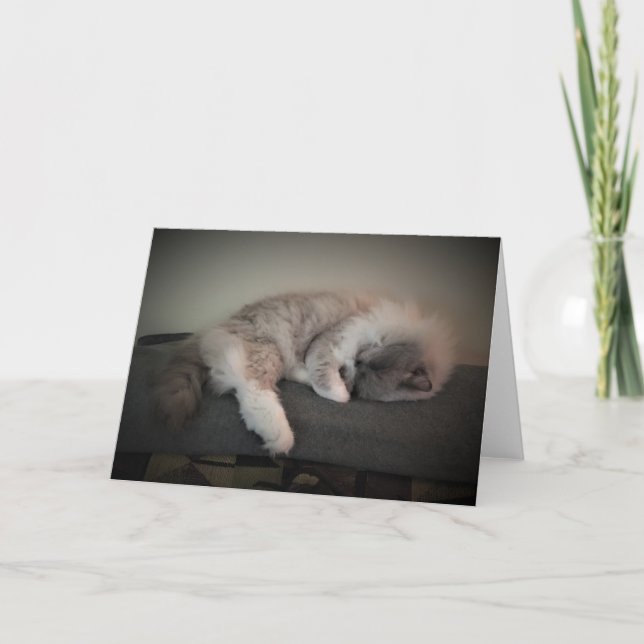 Jours lents, carte (Devant)