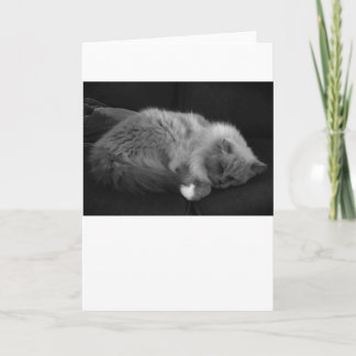 Jours lents, carte