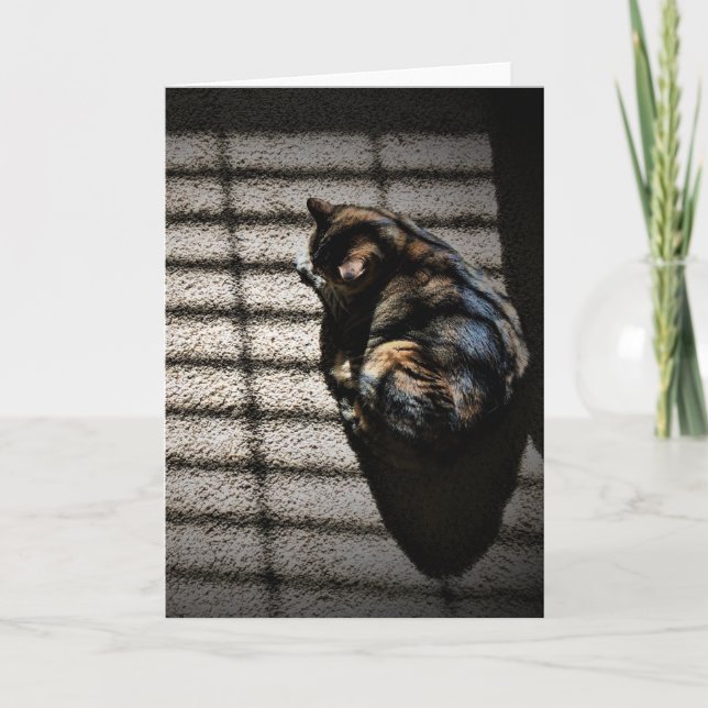 Jours lents, carte (Devant)