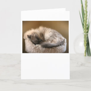 Jours lents, carte