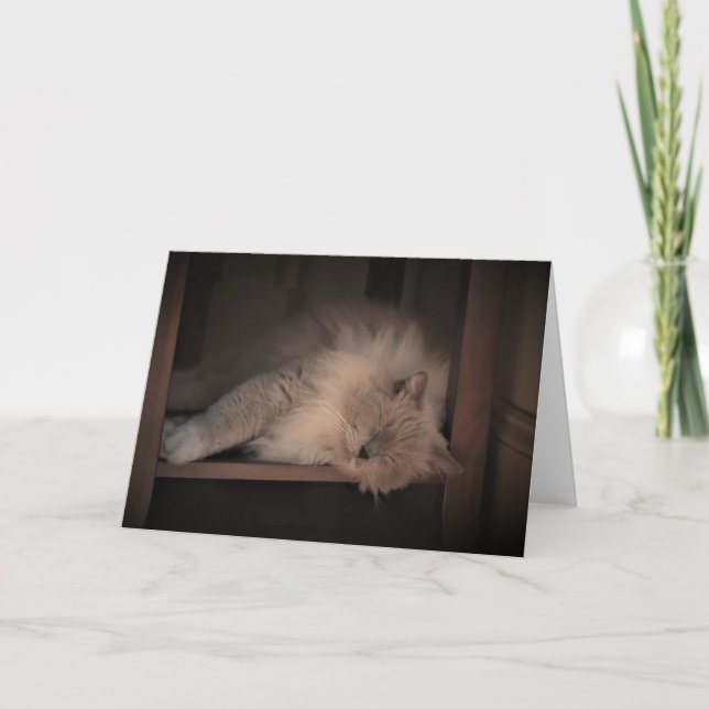 Jours lents, carte (Devant)