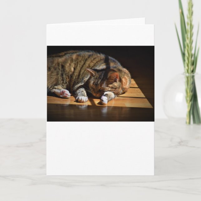 Jours lents, carte (Devant)