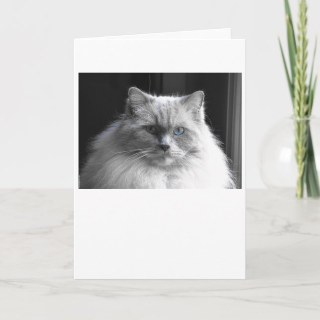 Jours lents, carte (Devant)