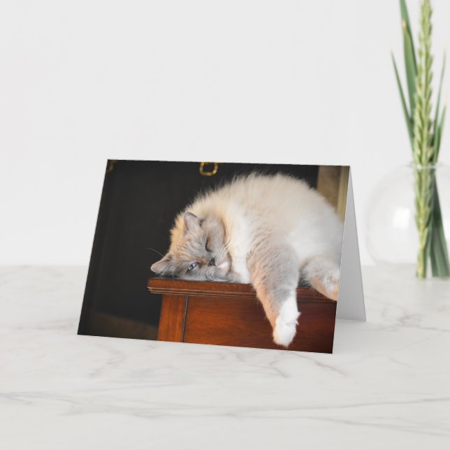 Jours lents, carte (Devant)