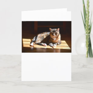 Jours lents, carte