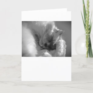 Jours lents, carte