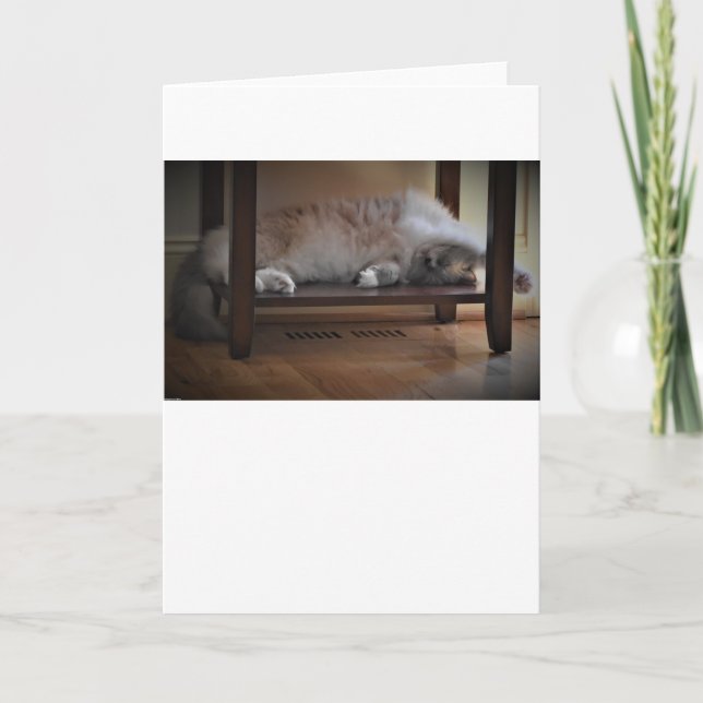 Jours lents, carte (Devant)
