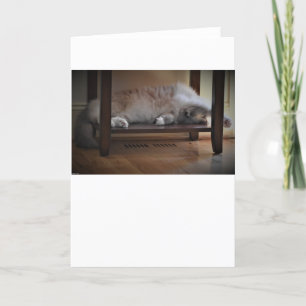 Jours lents, carte