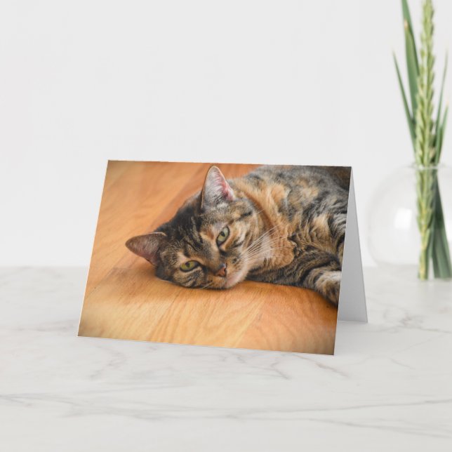 Jours lents, carte (Devant)