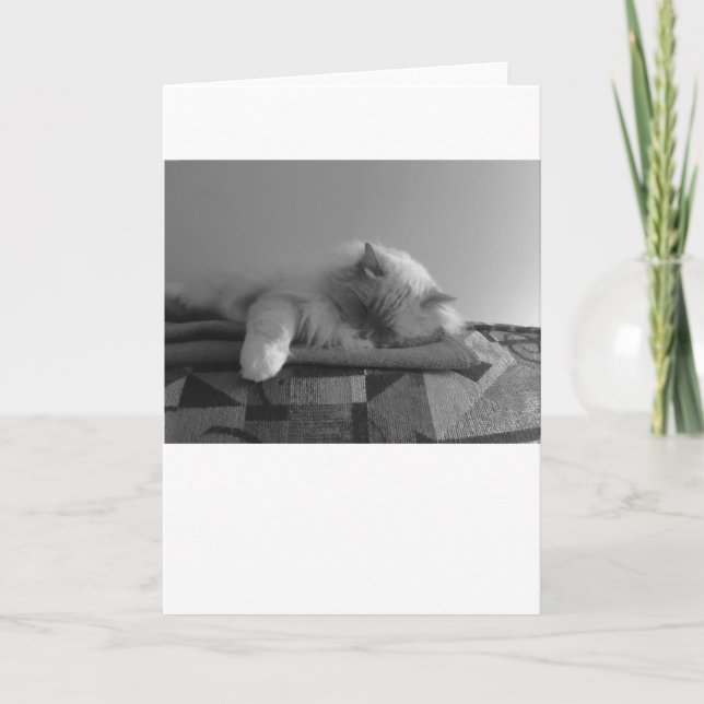 Jours lents, carte (Devant)