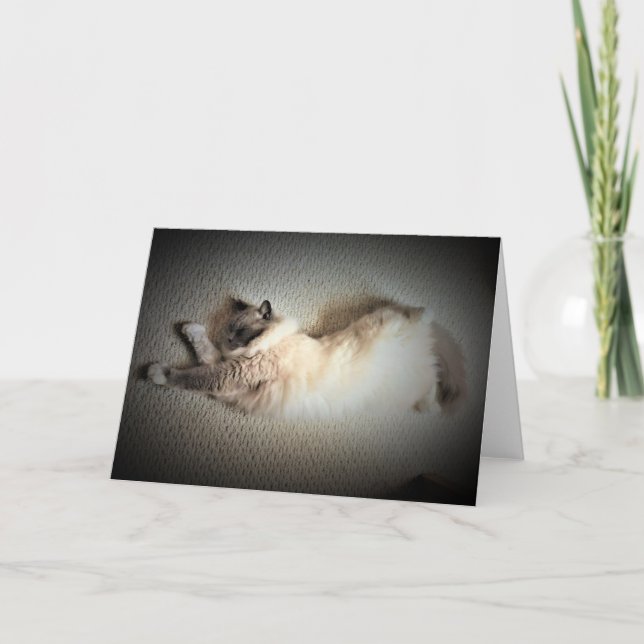 Jours lents, carte (Devant)