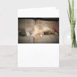 Jours lents, carte