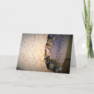 Jours lents, carte