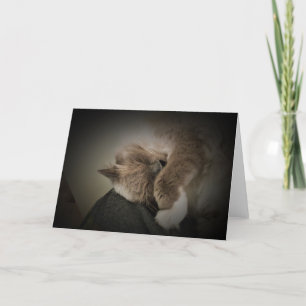 Jours lents, carte
