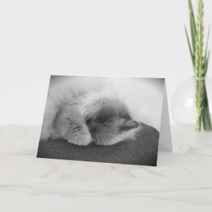 Jours lents, carte