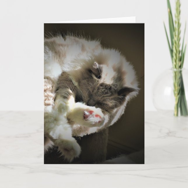 Jours lents, carte (Devant)