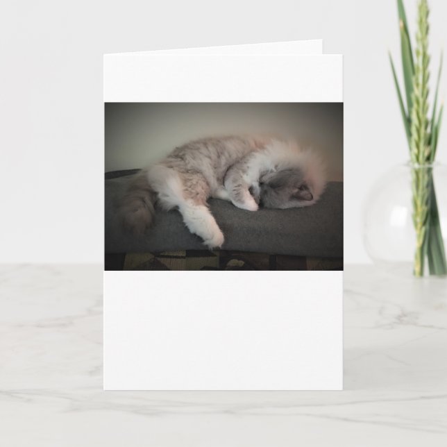 Jours lents, carte (Devant)