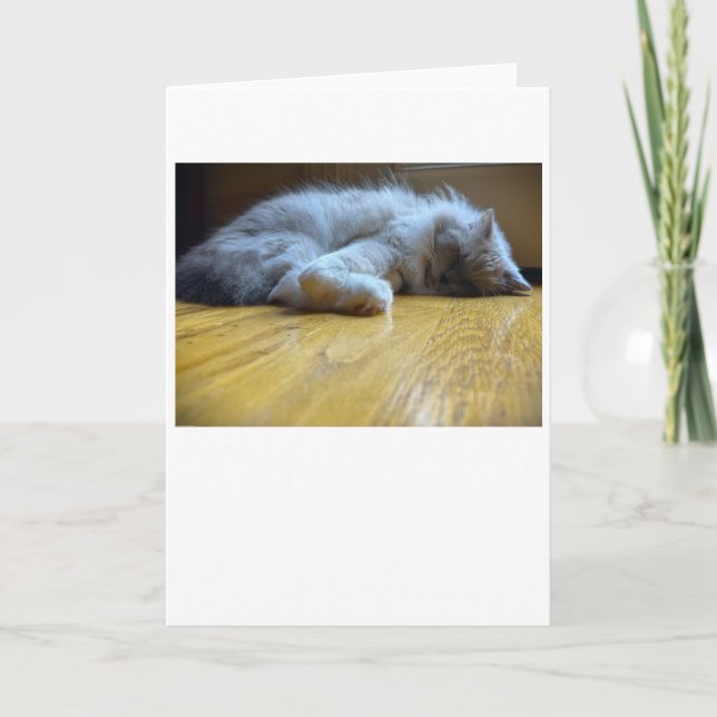 Jours lents, carte (Devant)