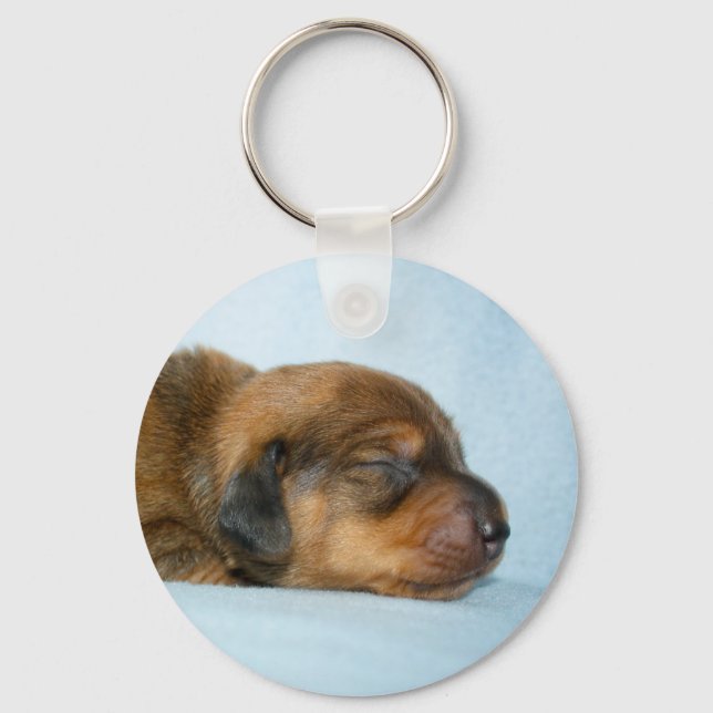 Jovi 1 wk-Lovebugdoxies Keychain (Front)