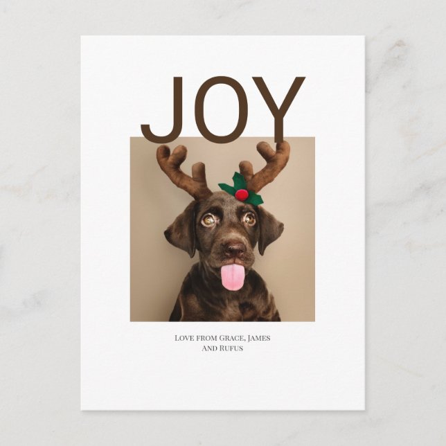 Joy Christmas Photo (postcard back) Postcard (Front)
