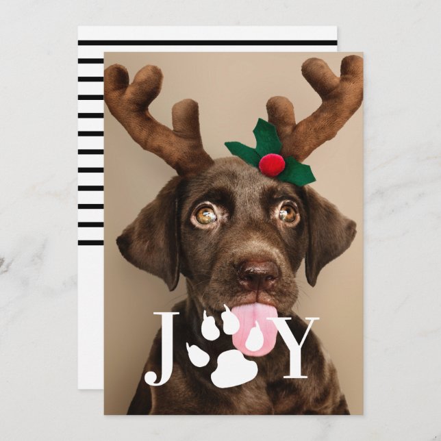 Joy Dog Paw Print Christmas Photo Card (Front/Back)